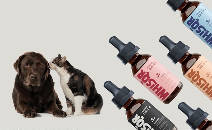 provide modern, minimalist packaging design return client discount
