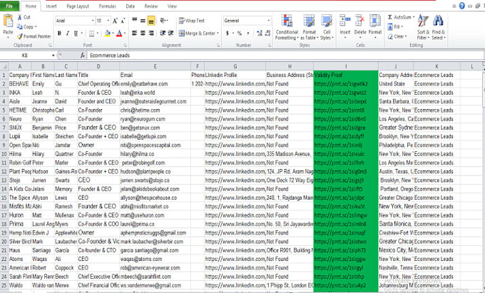 do lead generation, ecommerce leads, direct phone, direct email, business email