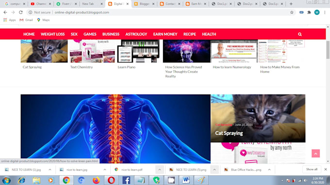 make free website from blogger