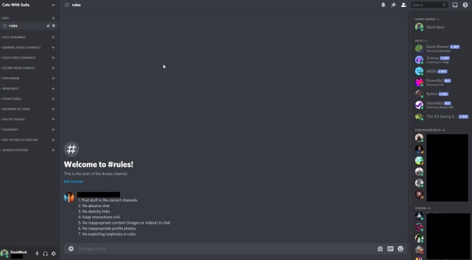 Set up a professional discord server with auto moderation by Dauidbeck ...