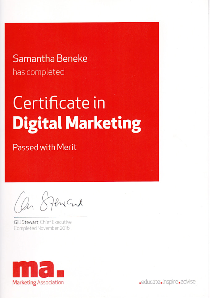 be your professional experienced digital marketing manager