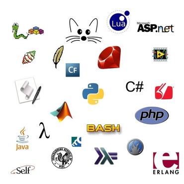 complete all kind of programming tasks including database apps