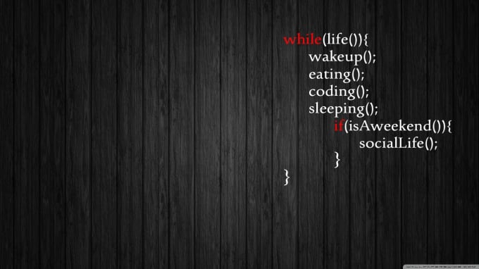 develop web application in java, spring boot and angular