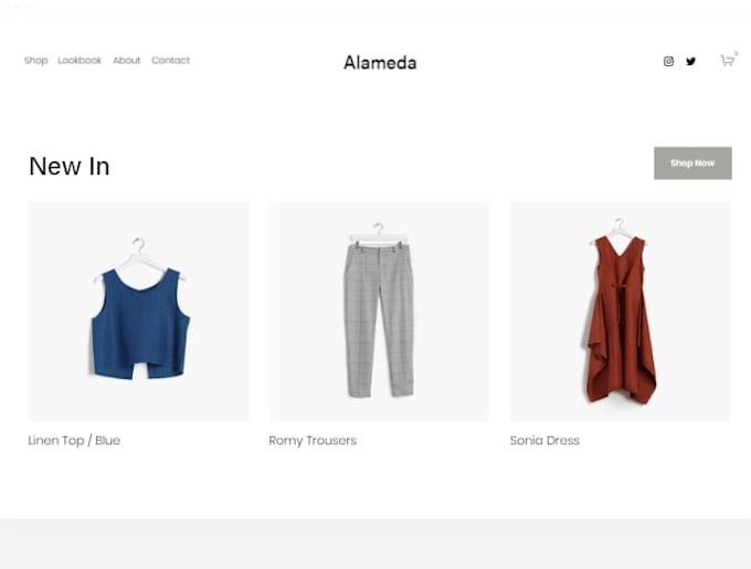 create  professional squarespace business website