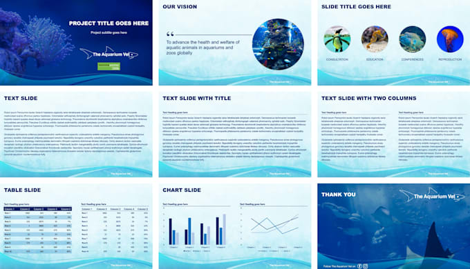 provide professional presentation template design services
