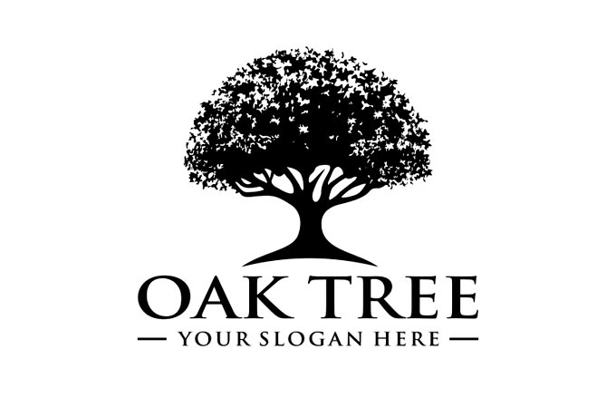 make eye catchy tree logo for your company within 24 hours