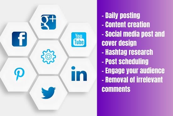 be your reliable social media manager and content creator
