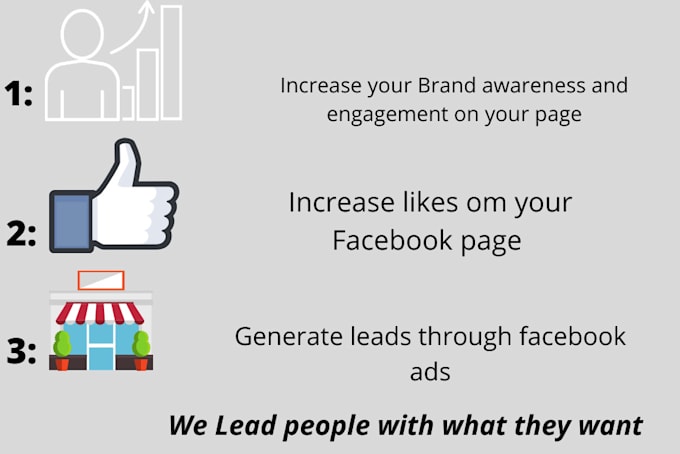 setup your facebook marketing, fb ads campaign and insta ads