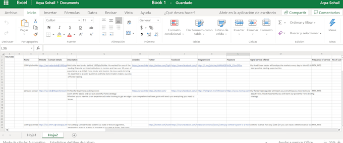 do data entry, copy paste, data formating and cleaning