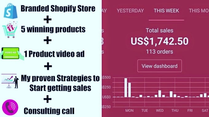 build top sales converting shopify drop shipping store