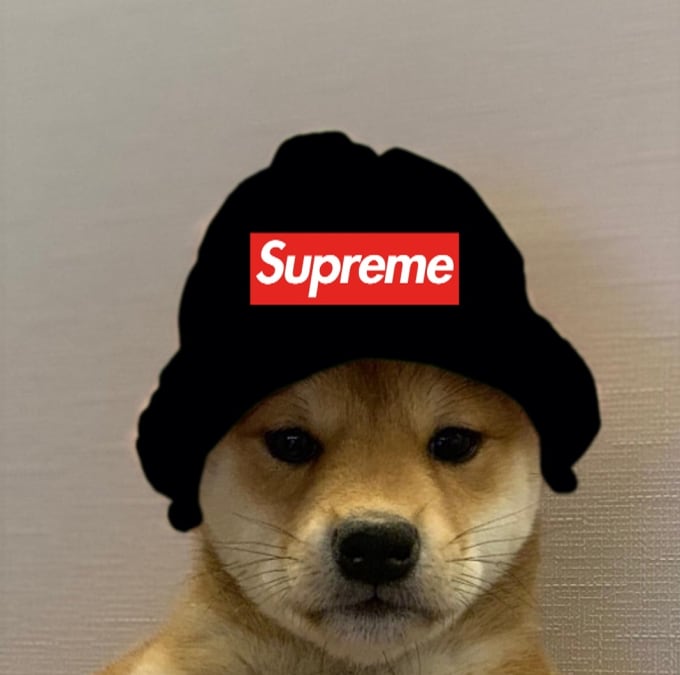 Do your own hat dog by Helmannn Fiverr