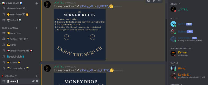 Create A Discord Server With An Original Logo By Qk1ttzp Fiverr 0904