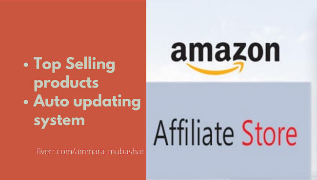 build autopilot amazon affiliate store