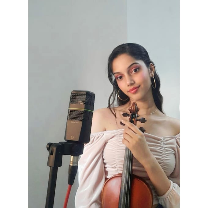 teach online violin lessons from beginner to professional level