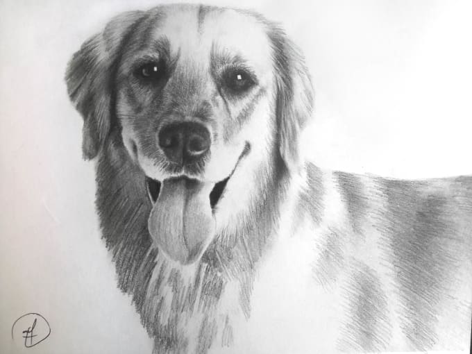 Draw realistic pencil portrait of your cat ,dog or any pet by Moncefart
