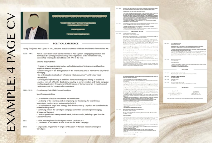 create a clear and minimalistic CV design