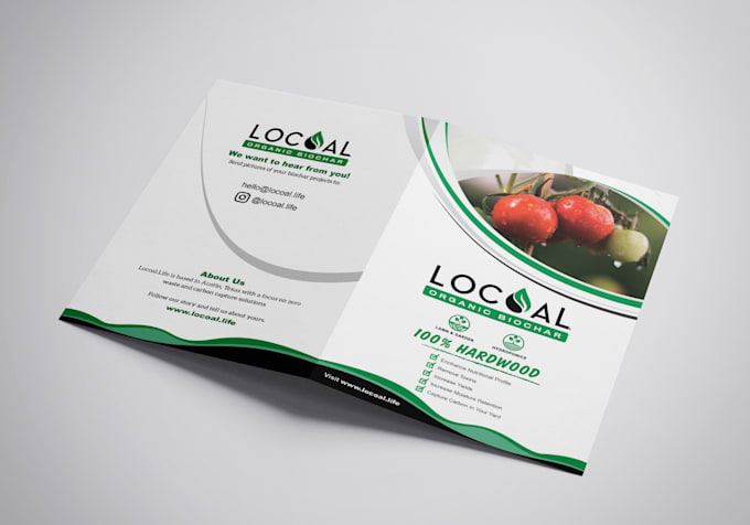 design a professional brochure for your business