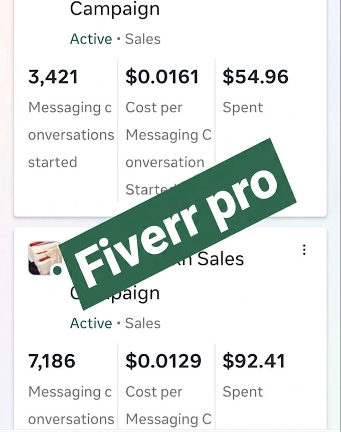 create professional facebook ads campaign