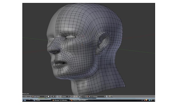 do 3d character modeling and animations on blender and maya