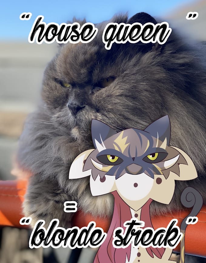 draw your pet as a pokemon