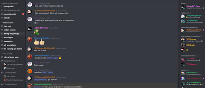 build a professional discord server with a custom bot
