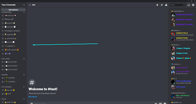 do the best and custom discord server