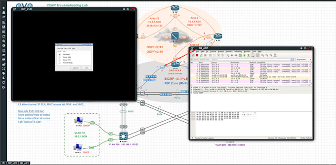 Help you setup gns3 packet tracer eve ng by Networkengg | Fiverr
