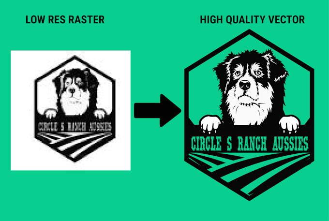 convert low res logo to high quality vector ai tracing