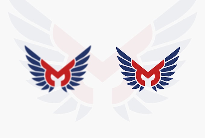 redraw or vectorize your logo or image