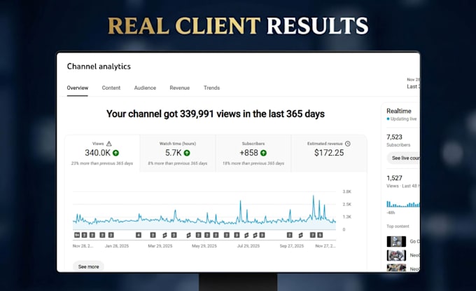 be your youtube video SEO expert and channel growth manager