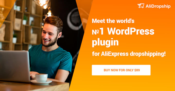 build you a professional dropshipping store