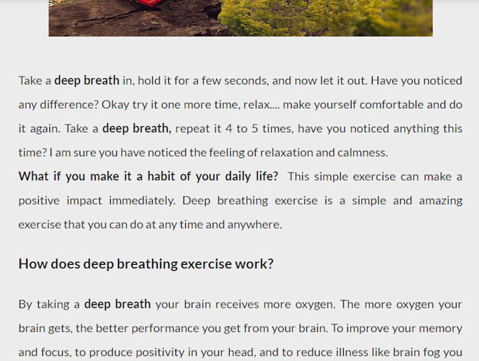 be your content writer blog post writer