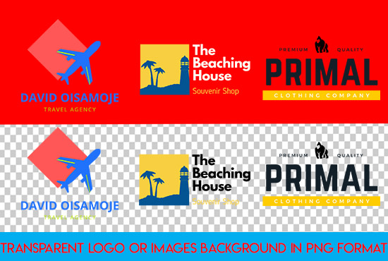deliver a transparent logo in png format