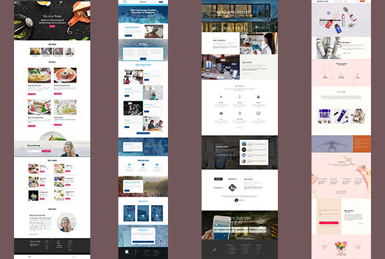 create or redesign a professional wordpress website