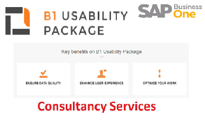 do anything in boyum IT usability package sap b1