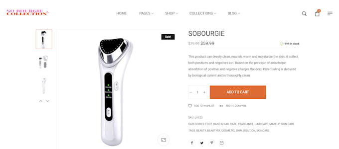 build a wordpress ecommerce website