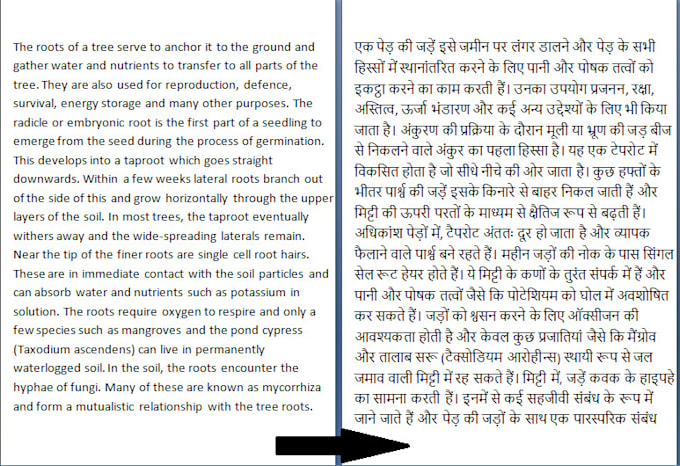 translate english  to hindi