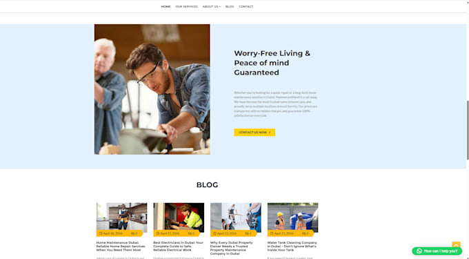 design and develop a fast wordpress website with SEO setup