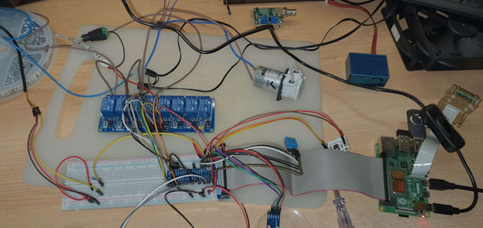 develop a python program for projects on the  raspberry pi