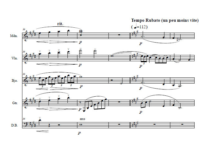 transcribe and or engrave your music for you