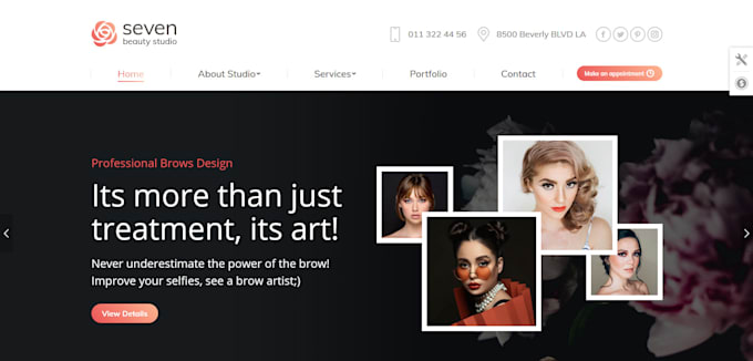 develop elegant and professional wordpress website design