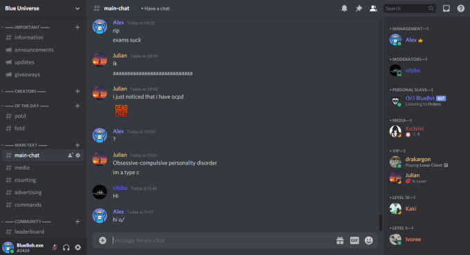 Edit or improve your discord server by Bluebob24 | Fiverr