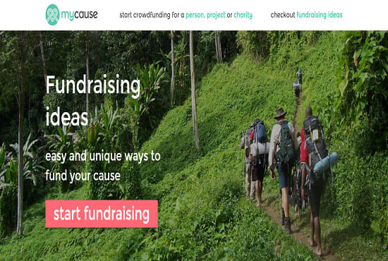 Create,manage and promote your crowdfunding campaign by Wally_pro