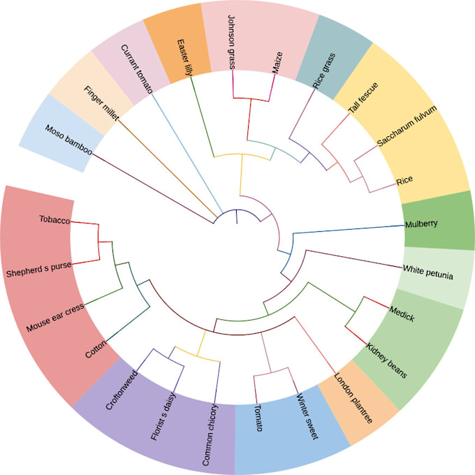 Do biopython programming tasks in bioinformatics by Muniba_50 | Fiverr