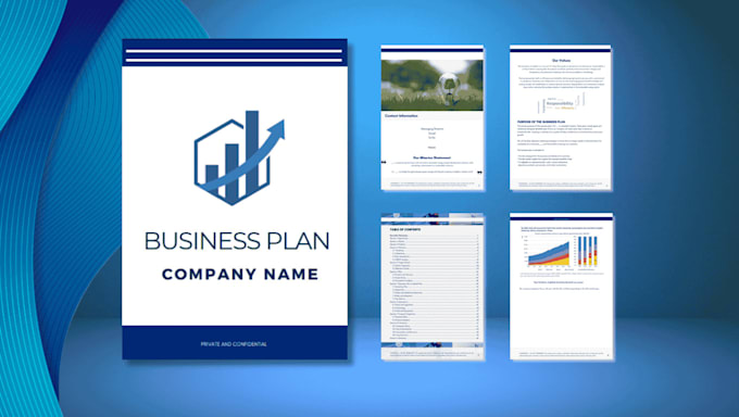write your business plan for investors or loans