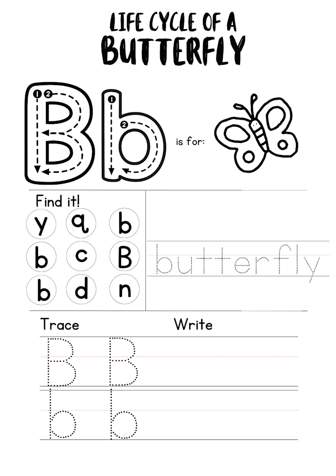 create a fun and engaging activity sheets for students