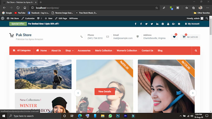 build a blog or business wordpress website in a day