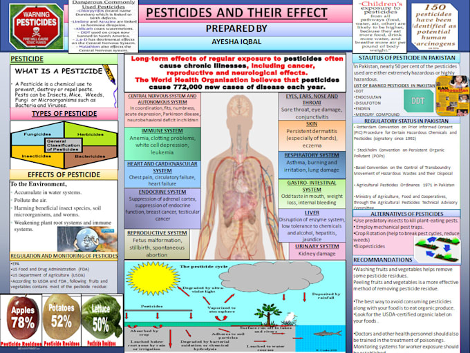 design ppt presentation and ppt slides with the infographic