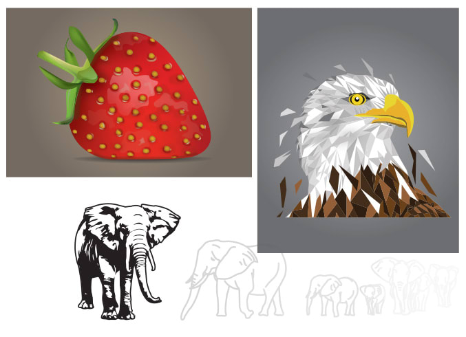 do vector illustrations, image tracing and logo creations