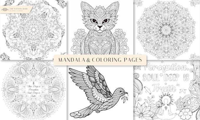 illustrate mandala art coloring book for adults and kids